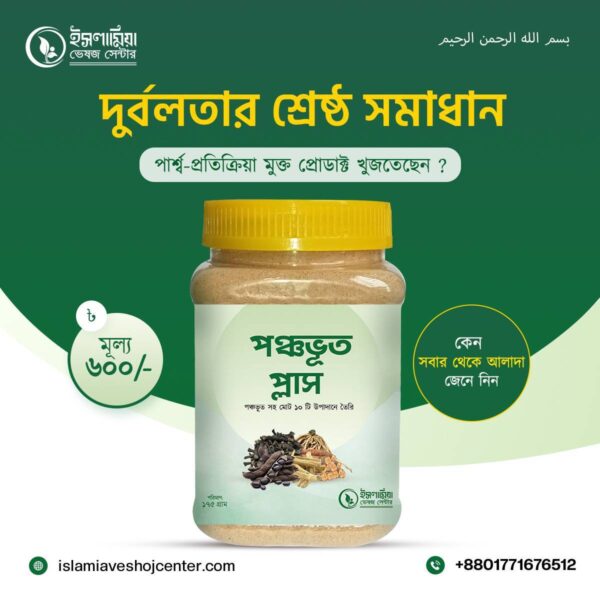 পঞ্চভূত প্লাস