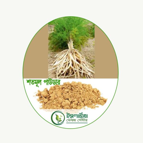 শতমূল পাউডার